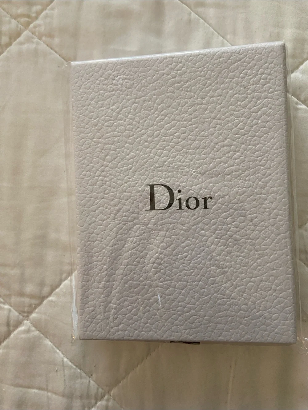 Dior Notebooks (2) in a white textured Dior box